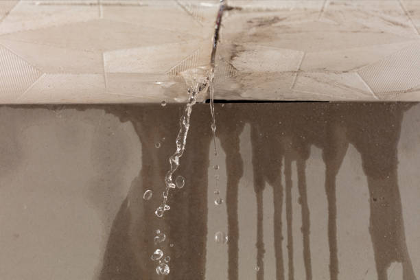 Professional Water Damage Inspection technician working in Martin, SD